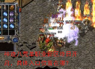 �񼣰˻ĵ�ְҵ�������տ������������λ�����ģ�