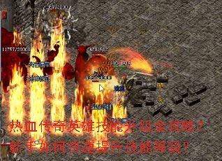 ��Ѫ����Ӣ�ۼ�������ȫ���ԣ�������ο����������ܵȼ���