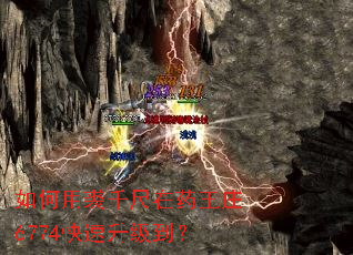 �������ǧ����ҩ��ׯ6774������������