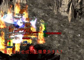 ��ְҵ�л��Ա�����Ƕ����ˣ�