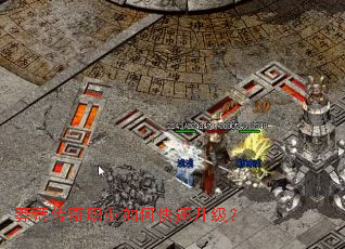 ç�Ĵ���ְҵ��ο���������