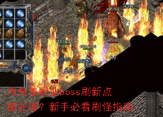 ���浥ְҵbossˢ�µ㶼���ģ����ֱؿ�ˢ��ָ��