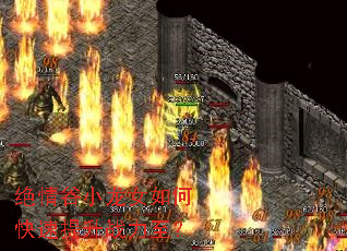 �����С��Ů��ο�������ս������