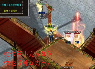 �����С��Ů��ο�������ս������