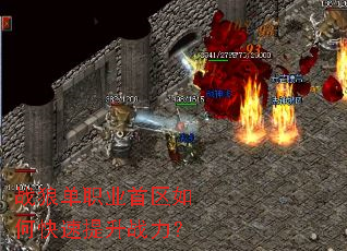 ս�ǵ�ְҵ������ο�������ս����