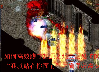 ��θ�Ч������Դ֮�ض���ֲ�BOSS���Ҿ�վ������ǰ����ȷ���ر�ר����