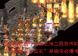 ��θ�Ч������Դ֮�ض���ֲ�BOSS���Ҿ�վ������ǰ����ȷ���ر�ר����