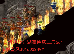 �����ս���������V����5648��ī��301600249��