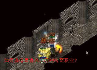 ���ѡ�����ʺ��Լ��Ĵ���ְҵ��