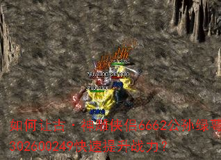 ����ùš��������6662��������302600249��������ս����