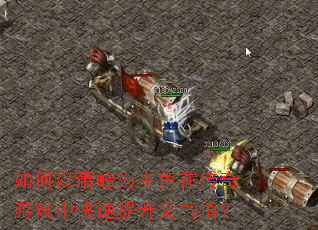 ���������Ϊ�����ڴ�����Ϸ�п�����������ֵ��