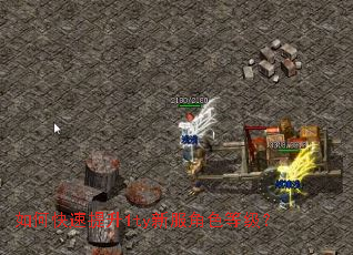 ��ο�������1ty�·���ɫ�ȼ���