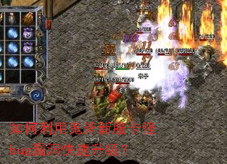 ������ù����·�����bug©������������