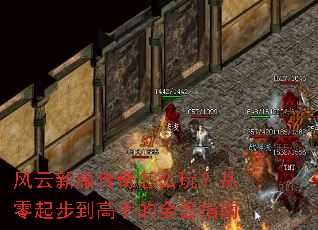 �����·�������ô�棿�����𲽵����ֵ�ȫ��ָ��