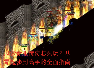 �����·�������ô�棿�����𲽵����ֵ�ȫ��ָ��
