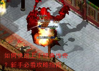 ��ο������־��䴫�棿���ֱؿ�����ָ��