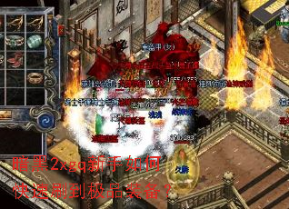 ����2xgq������ο���ˢ����Ʒװ����