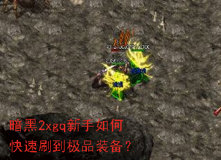 ����2xgq������ο���ˢ����Ʒװ����