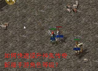 如何快速提升神鬼传奇新服手游角色等级? 如何快速提升神鬼传奇新服手游角色等级?