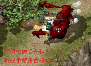 如何快速提升神鬼传奇新服手游角色等级? 如何快速提升神鬼传奇新服手游角色等级?