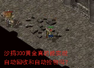 沙捐300黄金真的能实现自动回收和自动捡物吗? 沙捐300黄金真的能实现自动回收和自动捡物吗?
