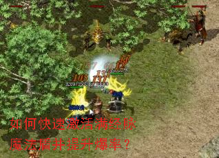 如何快速激活满经脉魔法盾并提升爆率? 如何快速激活满经脉魔法盾并提升爆率?