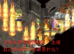 元宝如何兑换图腾币?土城右边具体操作步骤是什么? 元宝如何兑换图腾币?土城右边具体操作步骤是什么?