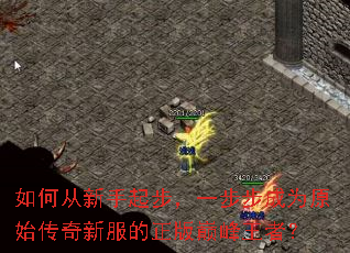 如何从新手起步,一步步成为原始传奇新服的正版巅峰王者? 如何从新手起步,一步步成为原始传奇新服的正版巅峰王者?
