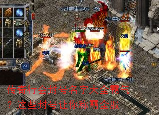 传奇行会封号名字大全霸气?这些封号让你称霸全服 传奇行会封号名字大全霸气?这些封号让你称霸全服