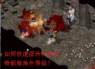 如何快速提升神佑传奇新服角色等级? 如何快速提升神佑传奇新服角色等级?