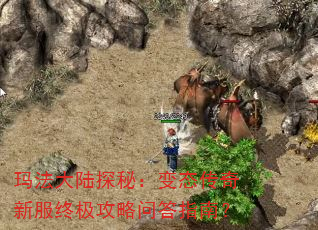 �귨��½̽�أ���̬�����·��ռ������ʴ�ָ�ϣ�