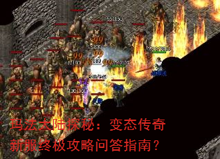 �귨��½̽�أ���̬�����·��ռ������ʴ�ָ�ϣ�