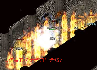 如何获取炎龙龙泪与龙鳞? 如何获取炎龙龙泪与龙鳞?