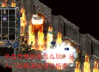 热血传奇新服怎么玩?从入门到精通的进阶指南 热血传奇新服怎么玩?从入门到精通的进阶指南