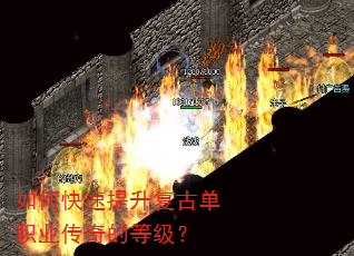 如何快速提升复古单职业传奇的等级? 如何快速提升复古单职业传奇的等级?