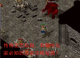 �����̬˽��������Щ��ұ�֪�Ķ��ҹ����ؼ���