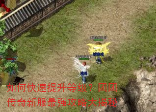 如何快速提升等级?团团传奇新服最强攻略大揭秘 如何快速提升等级?团团传奇新服最强攻略大揭秘