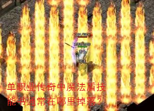 单职业传奇中魔法盾技能书通常在哪里掉落? 单职业传奇中魔法盾技能书通常在哪里掉落?