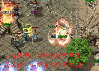 热血传奇中哪些BOSS掉落顶级装备?装备爆率如何查询? 热血传奇中哪些BOSS掉落顶级装备?装备爆率如何查询?