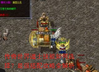 传奇世界道士技能如何选择?最强搭配攻略全解析 传奇世界道士技能如何选择?最强搭配攻略全解析
