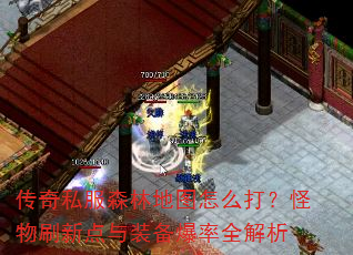 传奇私服森林地图怎么打?怪物刷新点与装备爆率全解析 传奇私服森林地图怎么打?怪物刷新点与装备爆率全解析