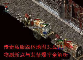 传奇私服森林地图怎么打?怪物刷新点与装备爆率全解析 传奇私服森林地图怎么打?怪物刷新点与装备爆率全解析