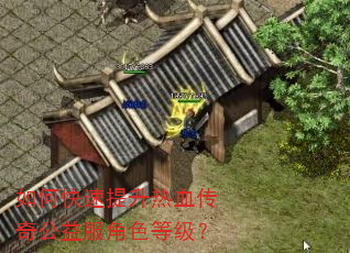 如何快速提升热血传奇公益服角色等级? 如何快速提升热血传奇公益服角色等级?