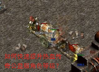 如何快速提升热血传奇公益服角色等级? 如何快速提升热血传奇公益服角色等级?