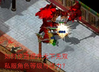 如何快速提升天下无双私服角色等级与战力? 如何快速提升天下无双私服角色等级与战力?