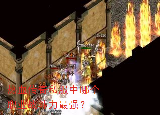 热血传奇私服中哪个职业战斗力最强? 热血传奇私服中哪个职业战斗力最强?