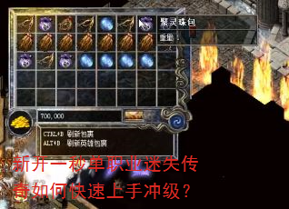 �¿�һ�뵥ְҵ��ʧ������ο������ֳ弶��