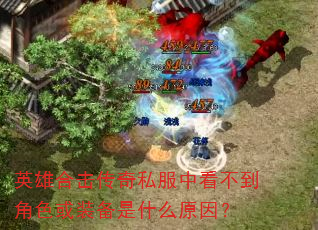 英雄合击传奇私服中看不到角色或装备是什么原因? 英雄合击传奇私服中看不到角色或装备是什么原因?
