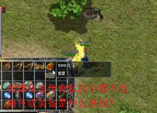 英雄合击传奇私服中看不到角色或装备是什么原因? 英雄合击传奇私服中看不到角色或装备是什么原因?