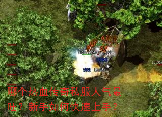 哪个热血传奇私服人气最旺?新手如何快速上手? 哪个热血传奇私服人气最旺?新手如何快速上手?
